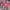 Timberland Streetwear Gorpcore Parka Pria red photo 4