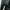 Leather Skirt / Rok Kulit photo 3