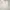 GU UNIQLO Sweater Inara Aktif Putih Ivory Lidi Timbul Knit photo 5