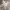 Dorothy Perkins Y2K Summer dress Wanita tan brown photo 1