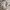 Dorothy Perkins Y2K Summer dress Wanita tan brown photo 5