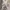 Dorothy Perkins Y2K Summer dress Wanita tan brown photo 3
