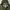 Columbia Gorpcore Track jacket Pria green photo 8