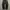 XLarge Longpants Chino (Black) with XL Fullprint Inside. photo 1