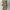 inner+outer photo 2
