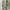inner+outer photo 1
