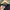 WWE • Vintage Y2k Fandango Daa-da Tee photo 7