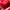 Adidas Vintage Y2K Bag Pria black red photo 4