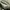 Handbag sling full leather brand Vincis photo 6