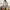 Handbag sling full leather no brand photo 4