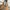 Handbag sling full leather no brand photo 3