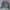 Work Jacket Vtg Polo Raplh Lauren Canvas | Work Jaket Canvas photo 2