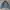 Work Jacket Vtg Polo Raplh Lauren Canvas | Work Jaket Canvas photo 1