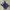 Jersey Team National France FFF Colour Blue Navy photo 1