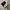 Tshirt Band Arctic Monkey Art Logo Album (A M) photo 1