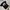 Tshirt Band Arctic Monkey Art Logo Album (A M) photo 2