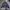 Work Jacket Vtg Polo Raplh Lauren | Work Jaket Canvas photo 1