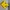 Jersey FC Chelsea sponcored By 3 Colour Yellow photo 1