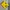 Jersey FC Chelsea Sponcored By 3 Colour Yellow