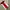 Jersey FC Atlethic Bilbao Colour Red & White photo 1
