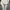 Long coat premium  photo 3