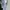 Long coat premium  photo 1