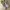 Reebok Slip On photo 1