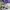 GAP Sportswear Short Kids Purple
