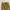 Maxi Rok Vintage Pleated photo 1