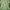 BYBLOS Blezer Casual in Green Vintage Blezer photo 2
