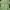 BYBLOS Blezer Casual In Green Vintage Blezer
