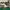 Nike Jordan Legacy 312 photo 1