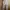 Gardenia garden glow pants photo 1