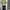 Lime top cardi photo 5