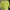Lime top cardi photo 1