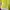 Lime top cardi photo 2