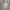 FILA Biella Italia Quarter Zip Checker photo 6