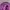 Bucket Hat Kangol (Purple) MADE IN TAIWAN photo 3