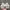 vans authetic white og photo 5