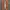 vans authetic white og photo 6