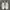 vans authetic white og photo 2