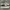 vans authentic checkerboard photo 1