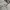 Vintage Y2K Hoody Pria cream photo 5