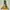 Nike Streetwear Reworked Hoody Pria yellow gray photo 4