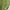 Green vest cardigan photo 8