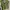 Green vest cardigan photo 2