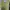 Green vest cardigan photo 1