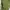 Green vest cardigan photo 7