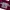 Tote Bag Chaos Red Camo thanksinsomnia photo 1