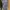 Celana Tactical Gray XXL photo 6
